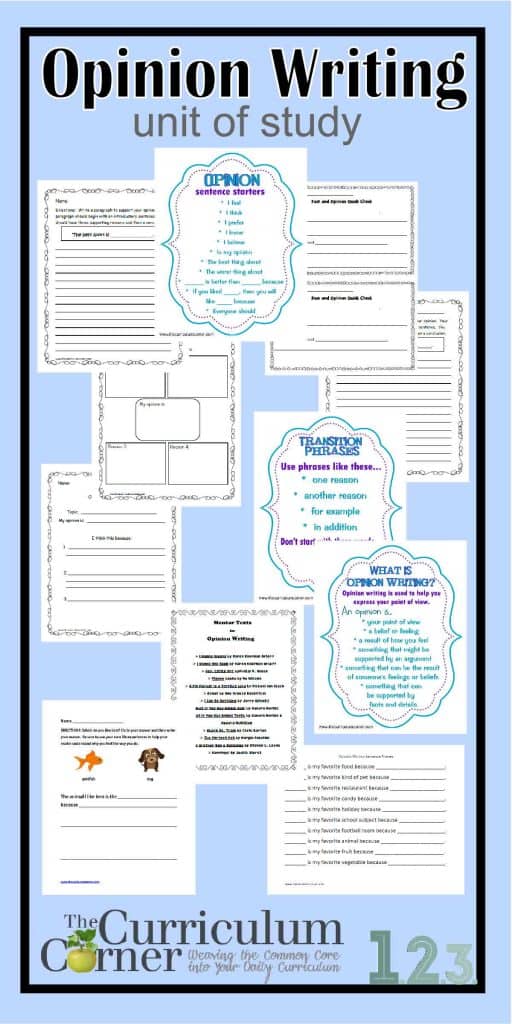 Introduction Paragraph with Thesis Statement