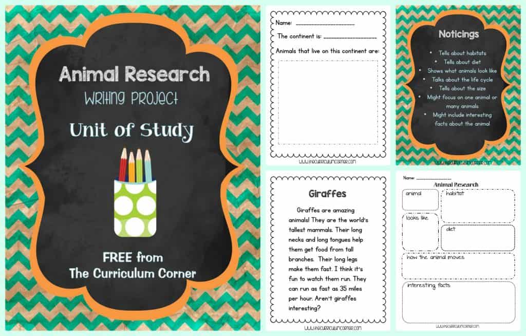 weird college application essay questions College essay questions get weird dec 9 is part of a recent trend of schools asking short answer questions on subjects atypical for a college application. weird college application essay questions College essay questions get weird dec 9 is part of a recent trend of schools asking short answer questions on subjects atypical for a college application.
