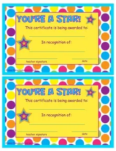 You're a Star End of Year Certificate by The Curriculum Corner