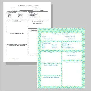 Free Updated Complete Teacher Planning Binder by The Curriculum Corner ...