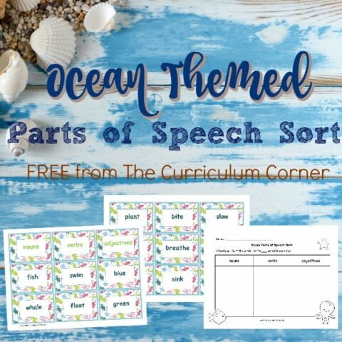 Image for Ocean Themed Noun, Verb, Adjective Sort