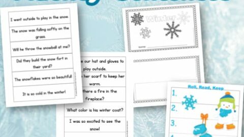 Image for Winter Fluency Sentences