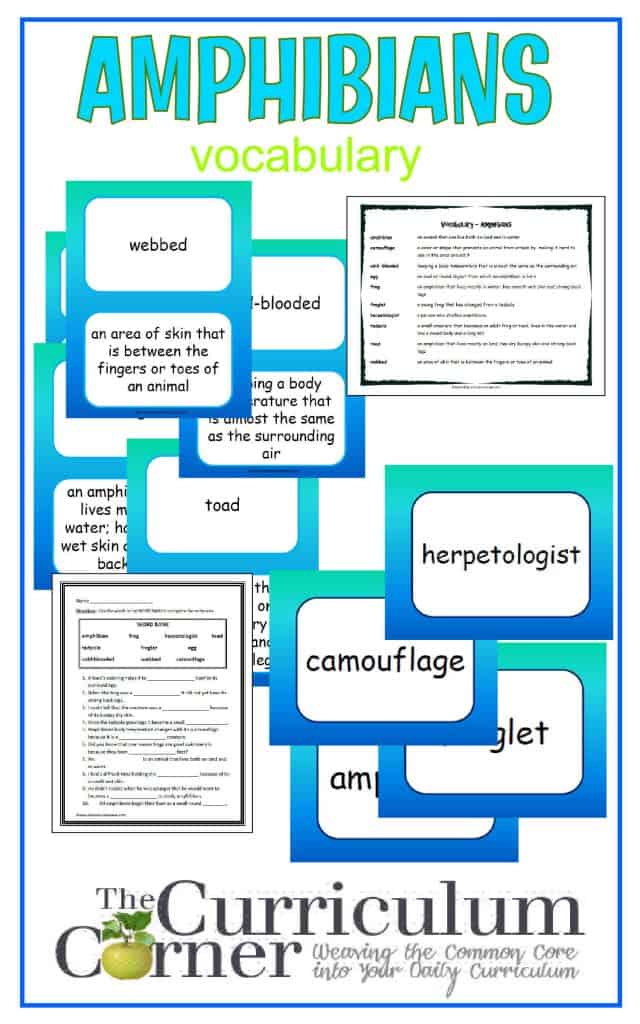Amphibians Vocabulary Resources free from The Curriculum Corner