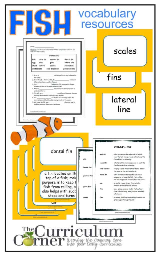 Fish Vocabulary Resources from The Curriculum Corner FREE