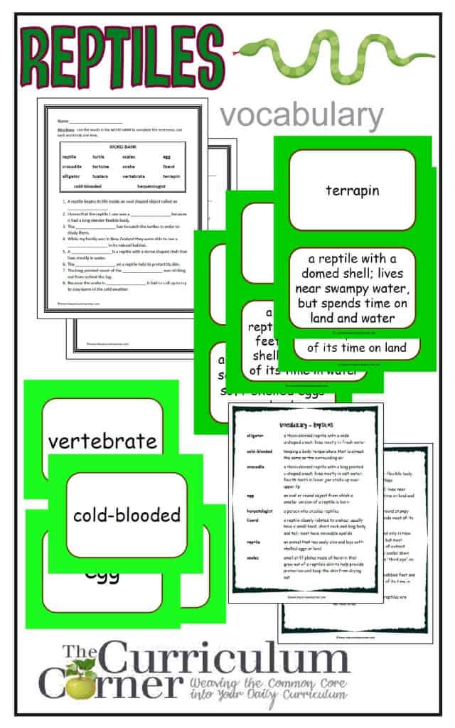 Reptile Vocabulary Resources from The Curriculum Corner FREE