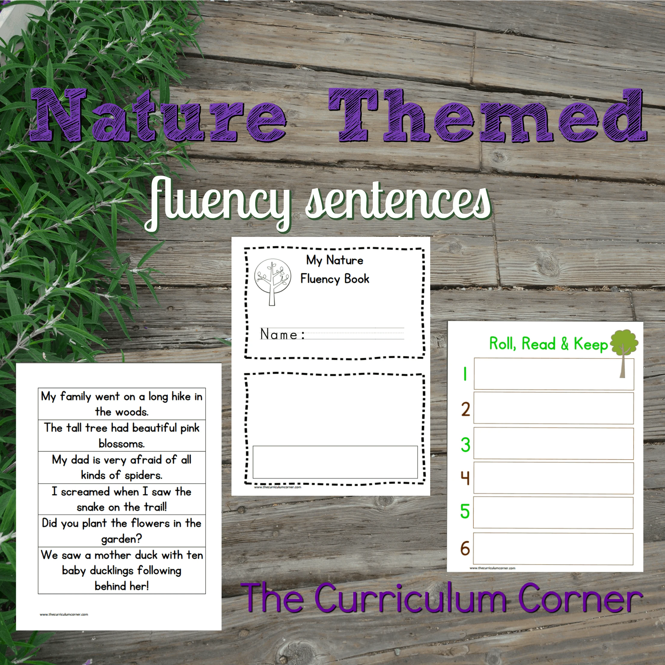 FREEBIE Nature Fluency Sentences