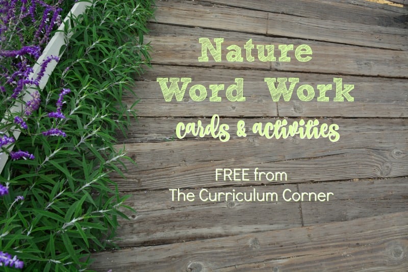 This nature word work is a free set that contains word cards with pictures and coordinating word work activities for the classroom