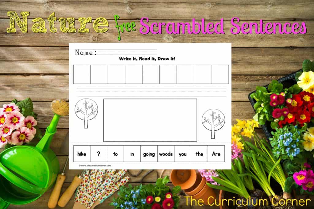 FREE Nature Scrambled Sentences Literacy Center from The Curriculum Corner