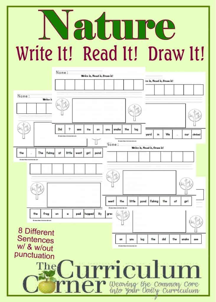 Nature themed Write It, Read it, Draw it Sentence Activity FREE from The Curriculum Corner