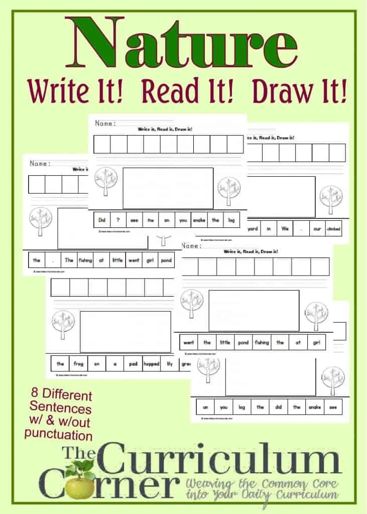 Nature themed Write It, Read it, Draw it Sentence Activity FREE from The Curriculum Corner