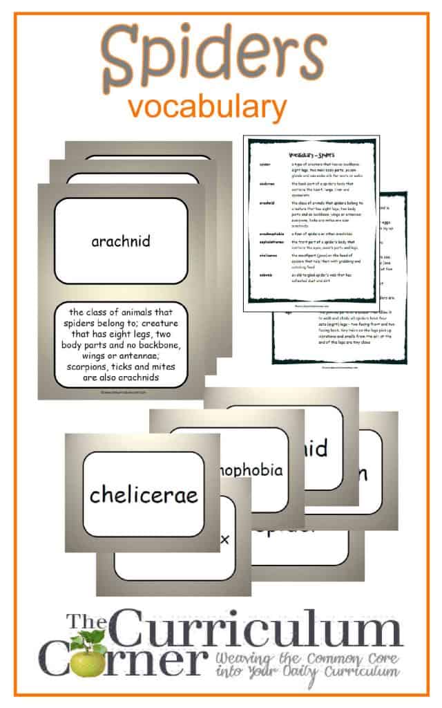Spiders Vocabulary Resources from The Curriculum Corner FREE