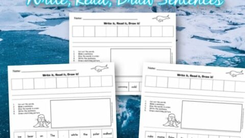 Image for Arctic Animals Write It! Read It! Draw It!