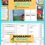 elements of biography anchor chart