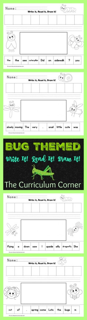 Bug Themed Write It! Read It! Draw It! LIteracy center activity The Curriculum Corner