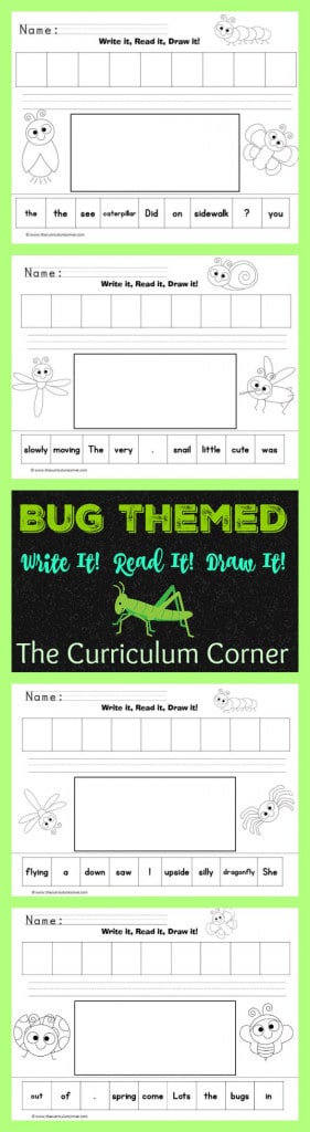 Bug Themed Write It! Read It! Draw It! LIteracy center activity The Curriculum Corner
