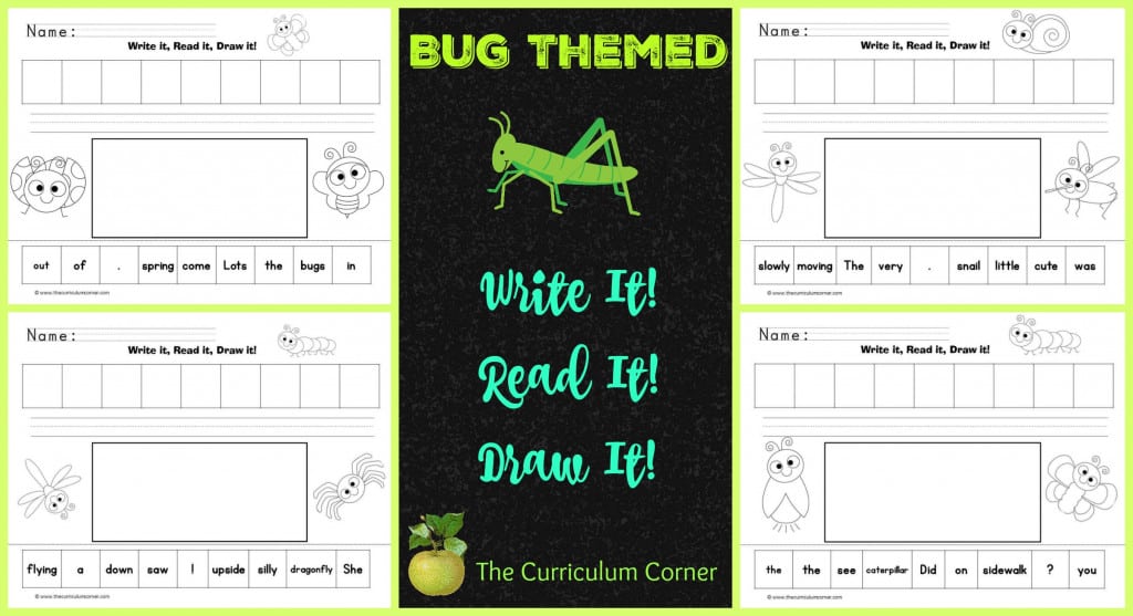 Insect Scrambled Sentences Bug Themed Write It! Read It! Draw It! LIteracy center activity The Curriculum Corner