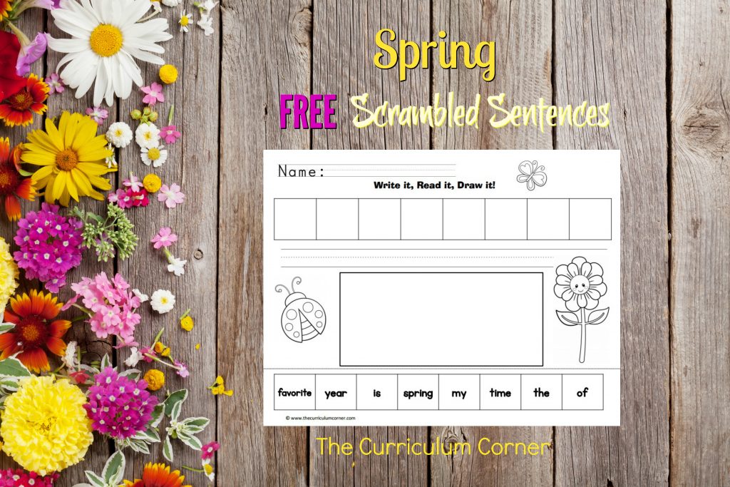 FREE Spring Write, Read, Draw Scrambled Sentences Spring Literacy Center from The Curriculum Corner