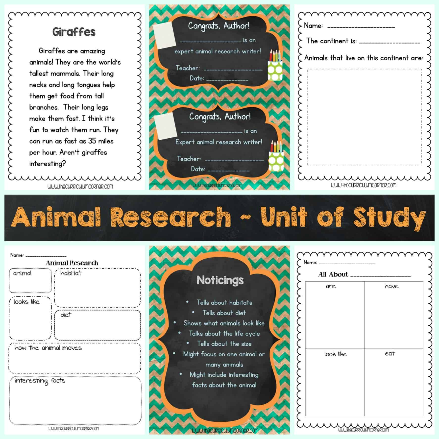 animal biology thesis topics