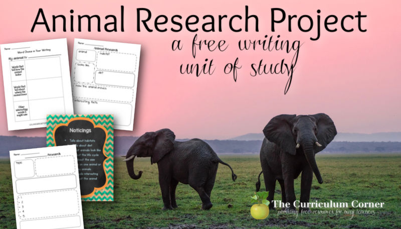 research paper topics about animal behavior