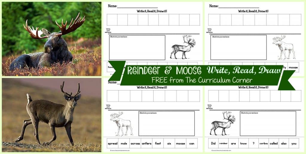 FREEBIE Reindeer & Moose Read, Write, Draw Literacy Center Activities from The Curriculum Corner