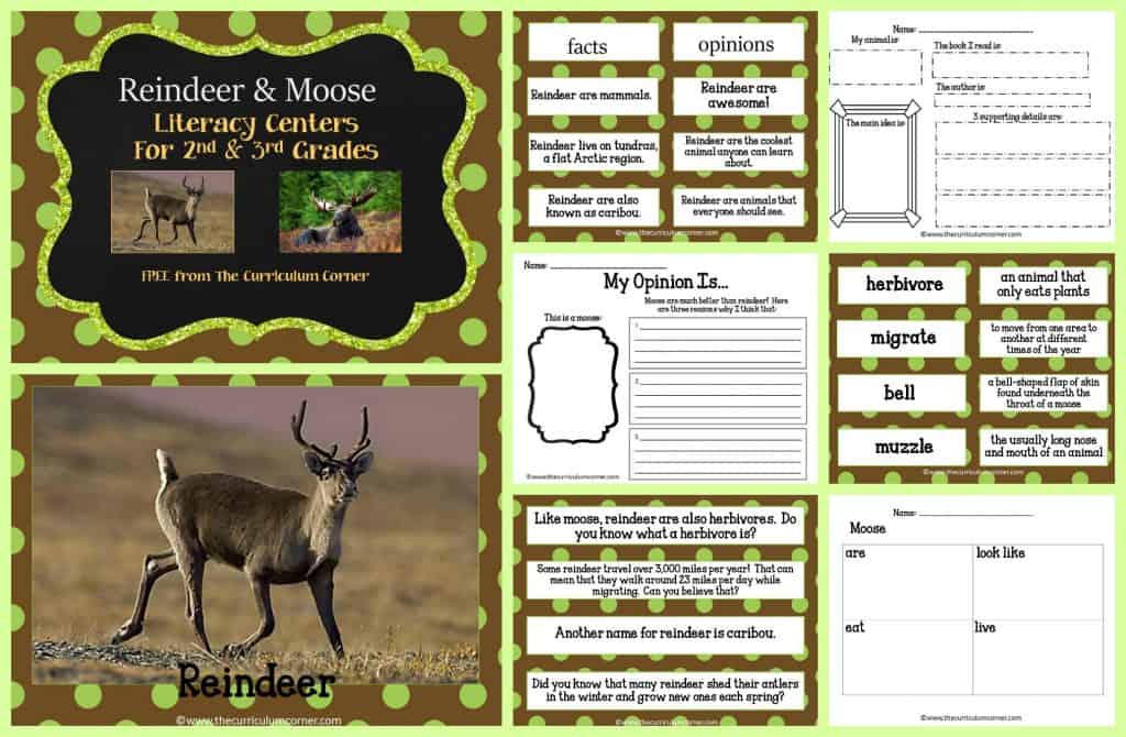 FREE Moose & Reindeer Informational Text Literacy Centers from The Curriculum Corner | 2nd grade, 3rd grade | FREEBIE