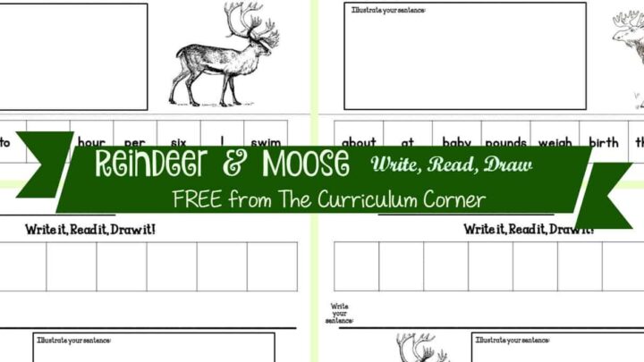 Image for Reindeer & Moose Read, Write & Draw It