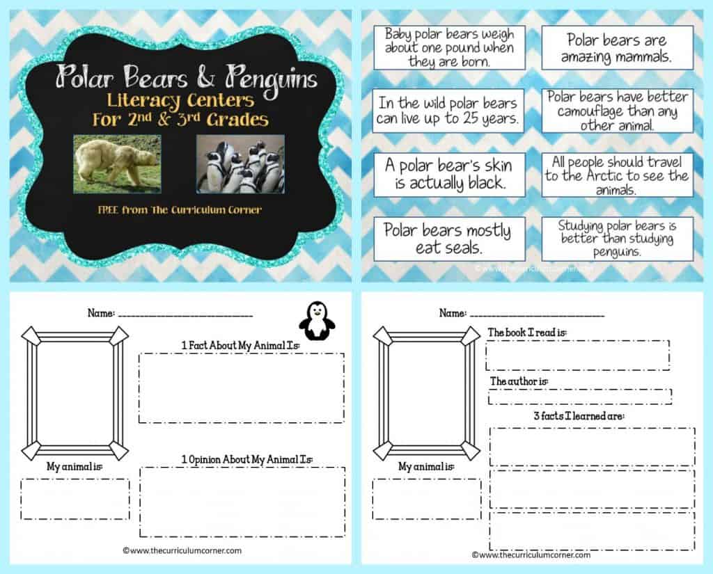 FREE Polar Bears & Penguins informational text literacy centers from The Curriculum Corner FREEBIES | Info Text