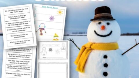Image for Snowman Fluency Sentences