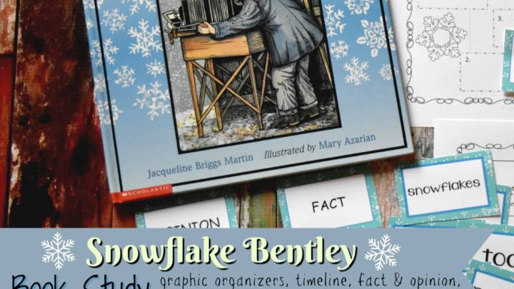 FREE Snowflake Bentley Book Study from The Curriculum Corner