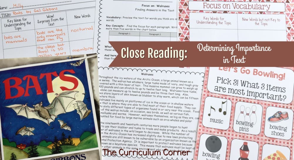 FREE Close Reading: Determining Importance in Text from The Curriculum Corner 2