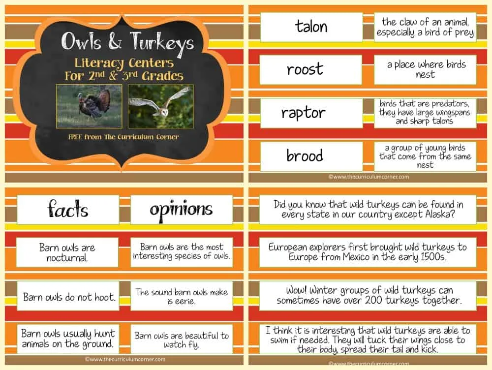 FREE Owls & Turkeys Informational Text Literacy Centers from The Curriculum Corner 2