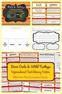 FREE Owls & Turkeys Informational Text Literacy Centers from The Curriculum Corner 8