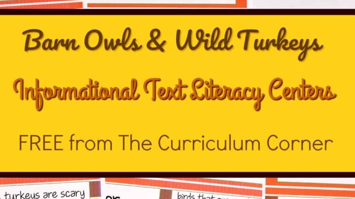 FREE Owls & Turkeys Informational Text Literacy Centers from The Curriculum Corner 3