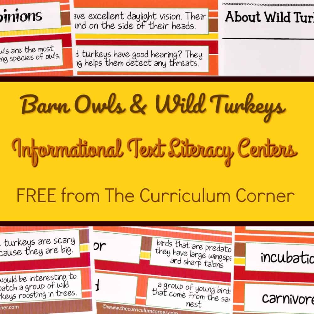 FREE Owls & Turkeys Informational Text Literacy Centers from The Curriculum Corner 3