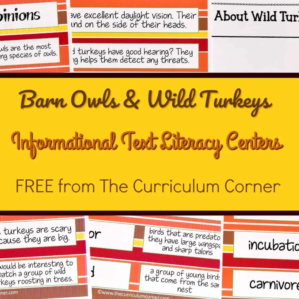 FREE Owls & Turkeys Informational Text Literacy Centers from The Curriculum Corner 3