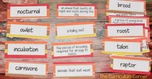 FREE Owls & Turkeys Informational Text Literacy Centers from The Curriculum Corner 4