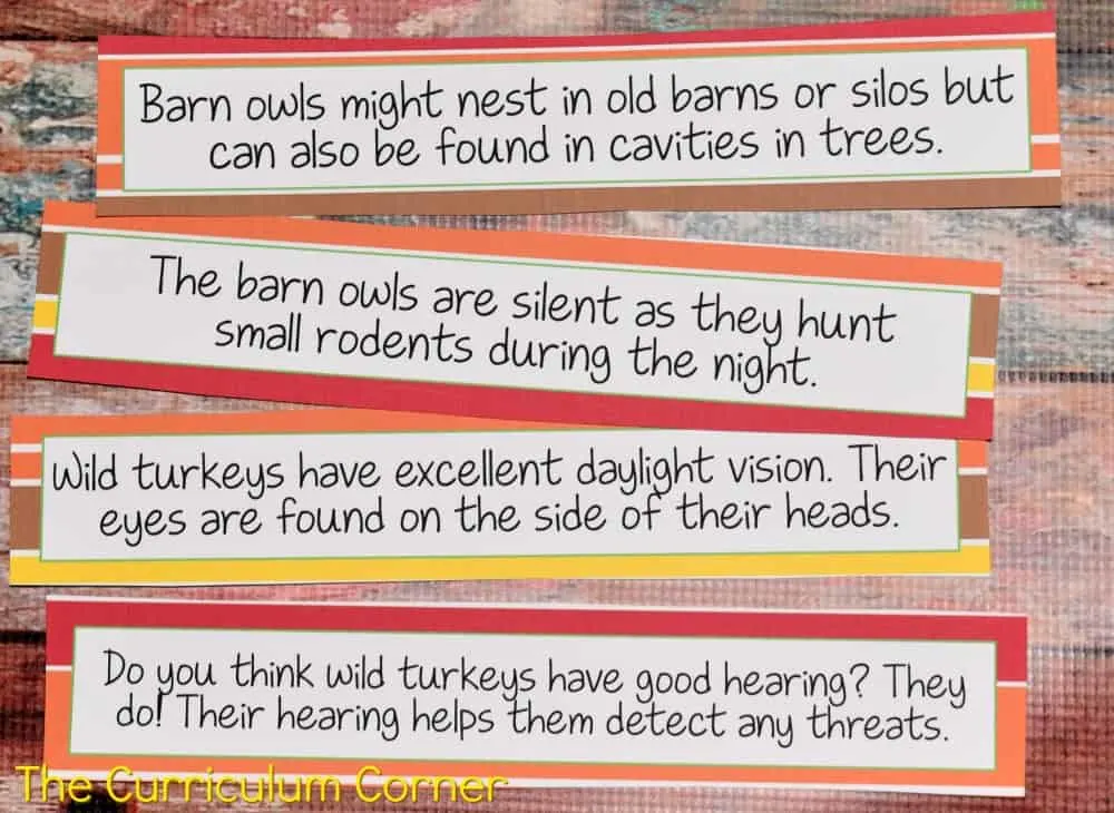 FREE Owls & Turkeys Informational Text Literacy Centers from The Curriculum Corner 5