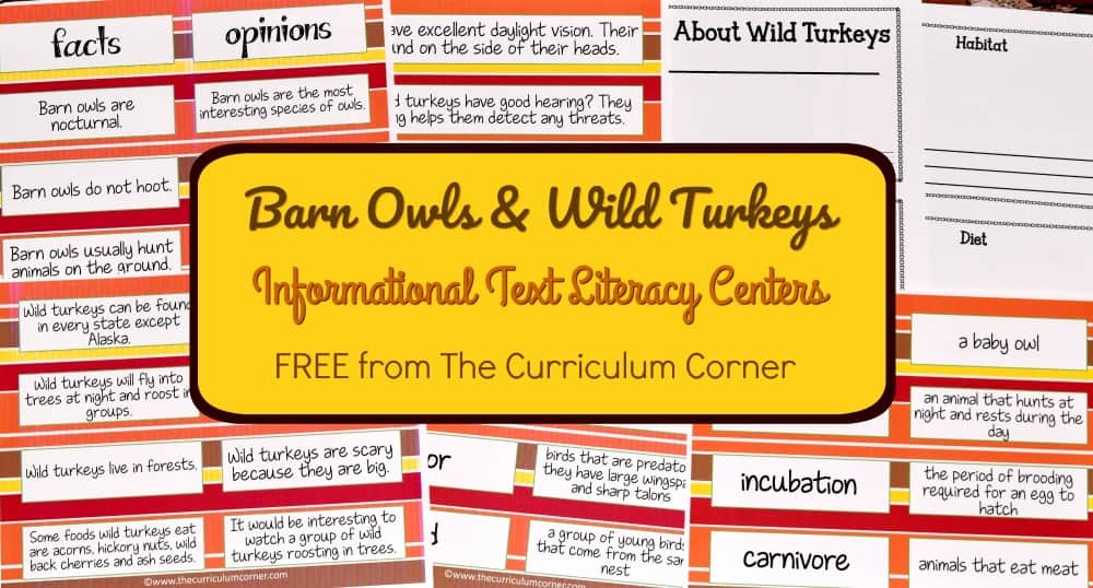 FREE Owls & Turkeys Fall Informational Text Literacy Centers from The Curriculum Corner 6