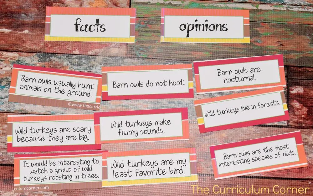 FREE Owls & Turkeys Informational Text Literacy Centers from The Curriculum Corner 7