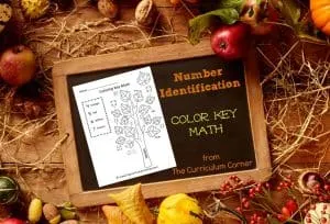 Fall Color Key Math for Number Identification from The Curriculum Corner
