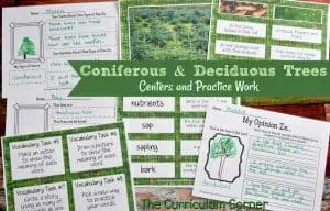 Coniferous & Deciduous Trees Informational Text