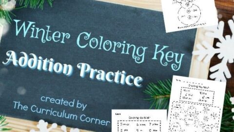 This winter color key addition is like a winter color by number for math practice.