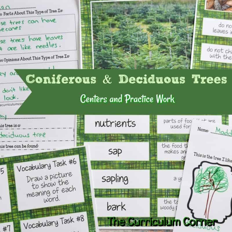 Coniferous & Deciduous Trees Informational Text Work FREE resources for teachers from The Curriculum Corner