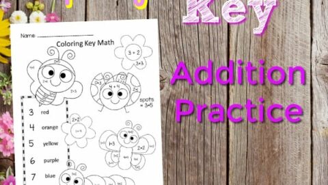 Image for Spring Color Key Addition Practice