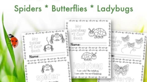 Image for Free Bugs Easy Reader Booklets