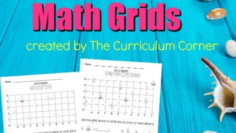 FREE Summer Math Grids