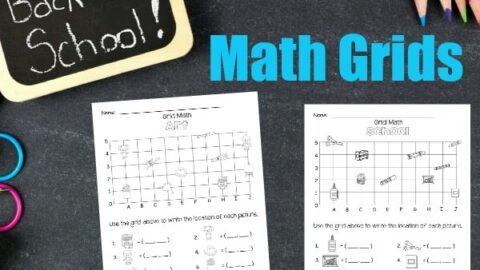 Image for Back to School Math Grids (Coordinate Grids)