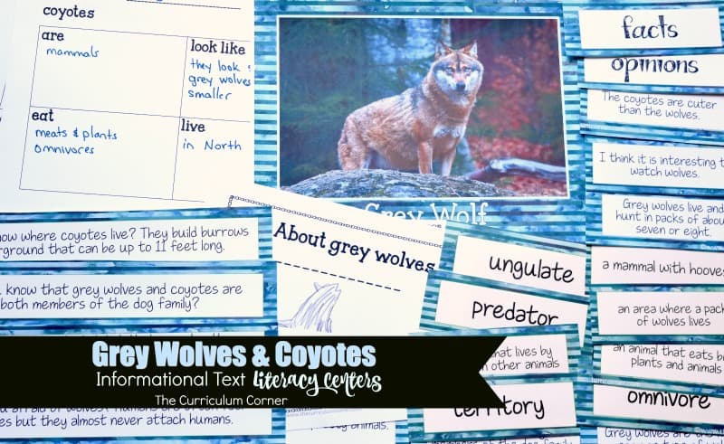 This informational text pack focuses on grey wolves and coyotes. These literacy centers are designed to help your children work with informational text during their center time.