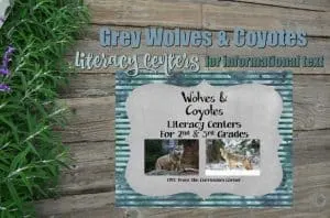This informational text pack focuses on grey wolves and coyotes. These literacy centers are designed to help your children work with informational text during their center time.