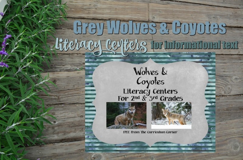 This informational text pack focuses on grey wolves and coyotes. These literacy centers are designed to help your children work with informational text during their center time.